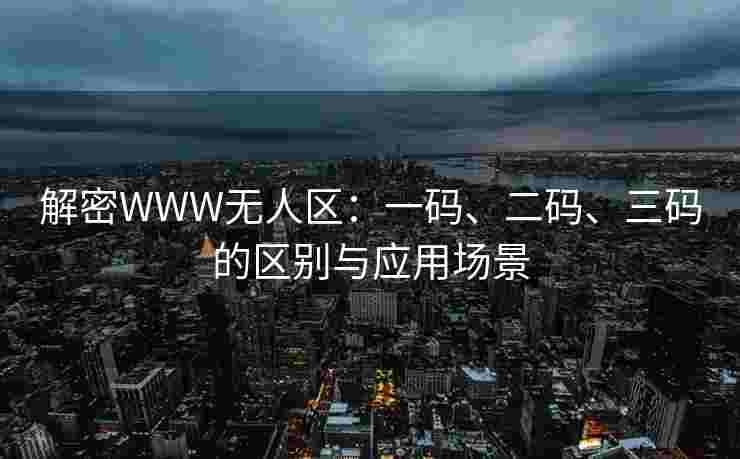 解密WWW无人区：一码、二码、三码的区别与应用场景