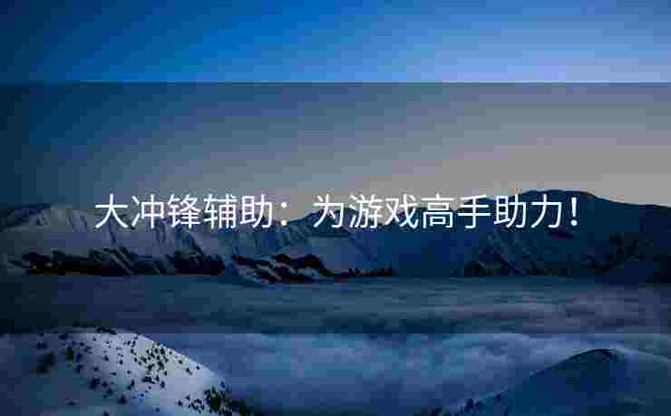 大冲锋辅助：为游戏高手助力！
