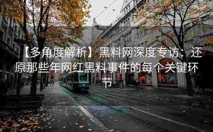 【多角度解析】黑料网深度专访：还原那些年网红黑料事件的每个关键环节