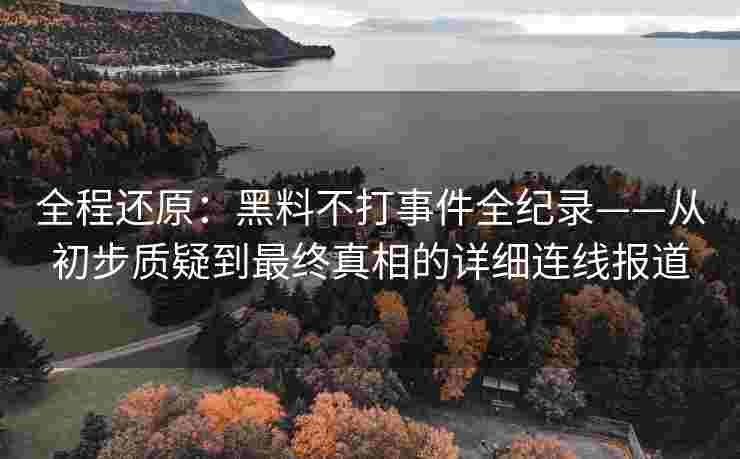 全程还原：黑料不打事件全纪录——从初步质疑到最终真相的详细连线报道