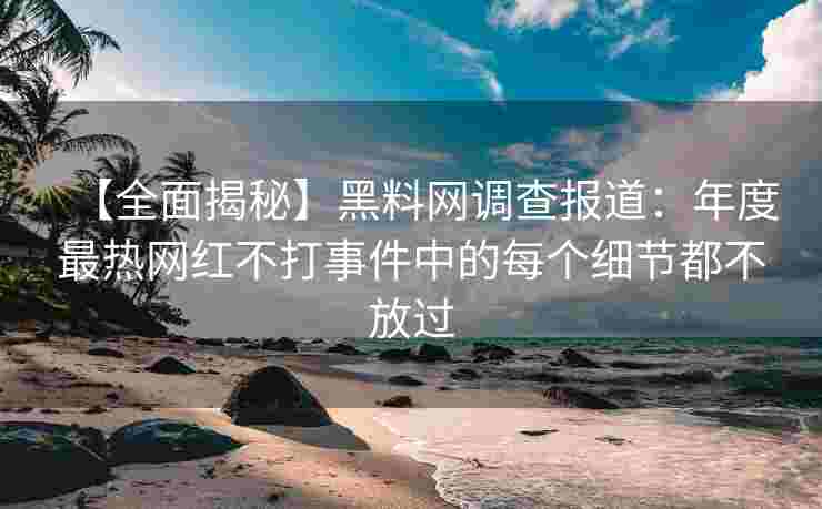 【全面揭秘】黑料网调查报道：年度最热网红不打事件中的每个细节都不放过