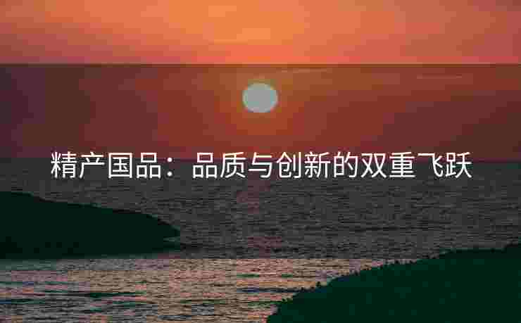 精产国品：品质与创新的双重飞跃