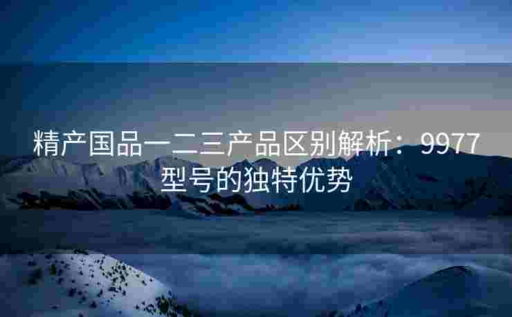 精产国品一二三产品区别解析：9977型号的独特优势