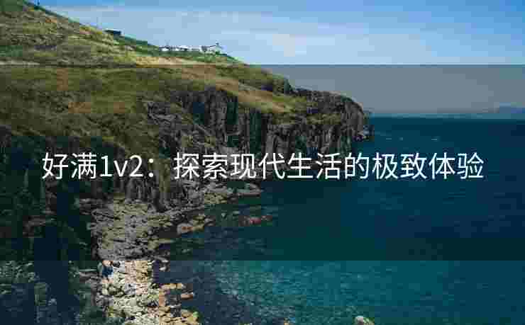 好满1v2：探索现代生活的极致体验