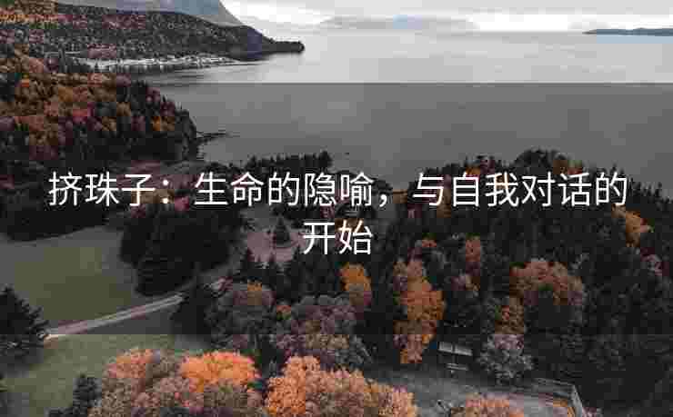 挤珠子：生命的隐喻，与自我对话的开始