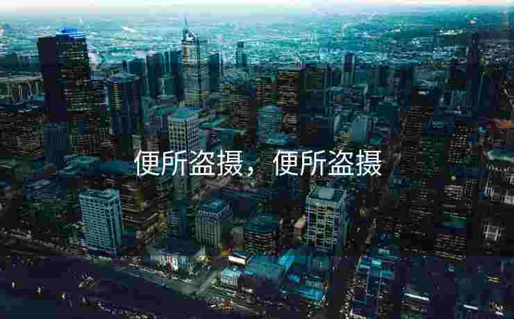 便所盗摄，便所盗摄