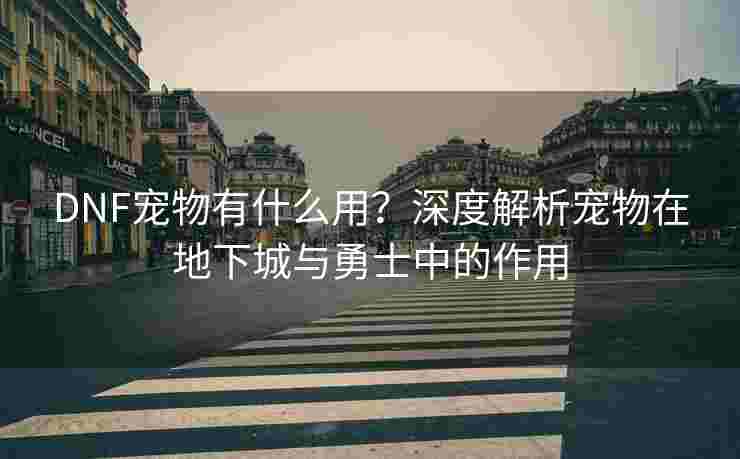 DNF宠物有什么用？深度解析宠物在地下城与勇士中的作用