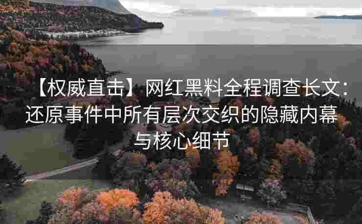 【权威直击】网红黑料全程调查长文：还原事件中所有层次交织的隐藏内幕与核心细节