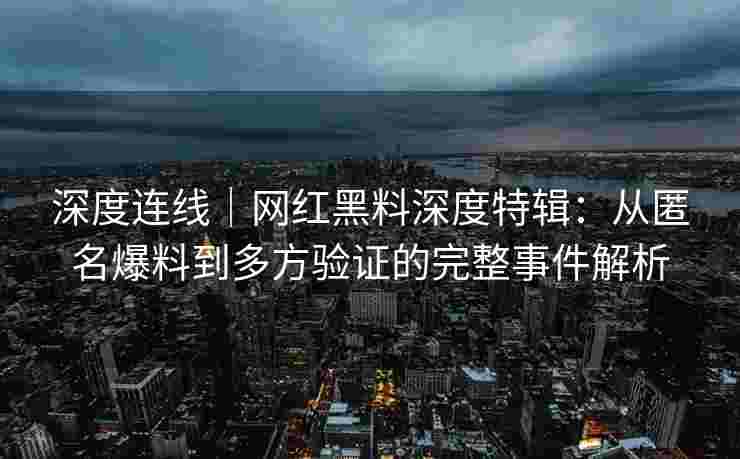 深度连线｜网红黑料深度特辑：从匿名爆料到多方验证的完整事件解析