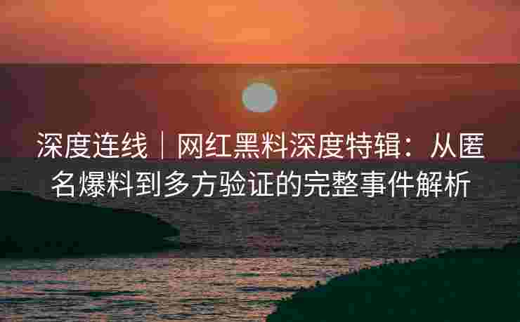 深度连线｜网红黑料深度特辑：从匿名爆料到多方验证的完整事件解析