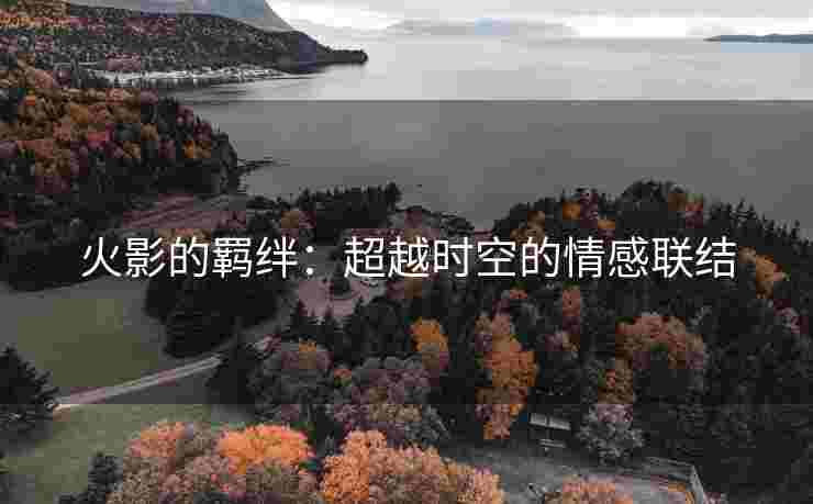 火影的羁绊：超越时空的情感联结