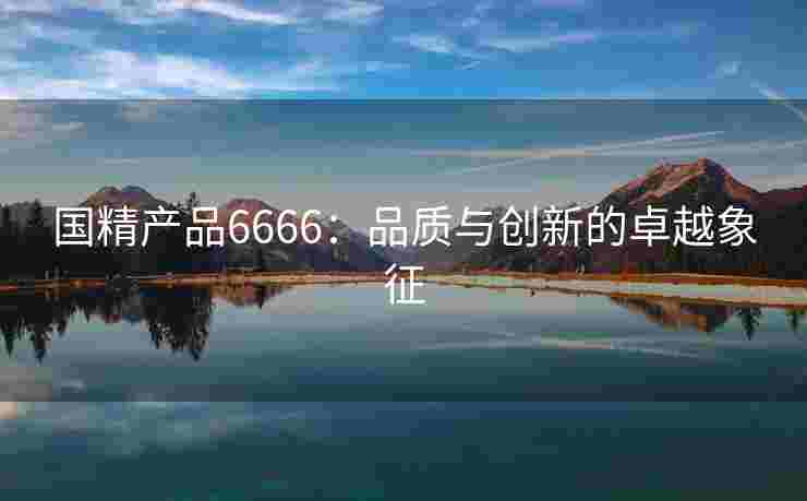 国精产品6666：品质与创新的卓越象征