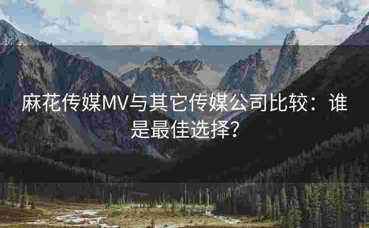 麻花传媒MV与其它传媒公司比较：谁是最佳选择？